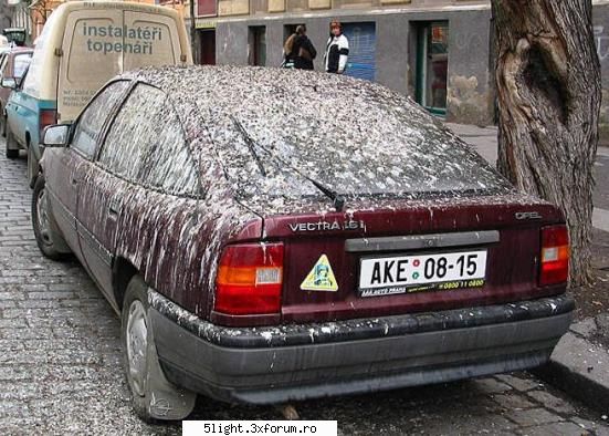 Funny - shogu - Poze